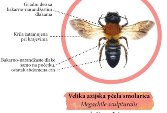 Biološki fakultet u Beogradu poziva građane na zajedničko istraživanje