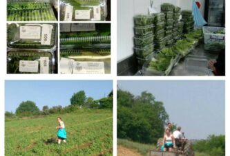 Iskustva drugih: Organski proizvodi u Severnoj Makedoniji imaju svoje kupce