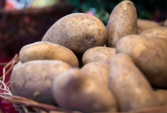 U Srbiji se godišnje proizvede više od 600.000 tona krompira