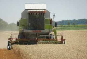 Produktna berza: Cene kukuruza i pšenice zabeležile rekord