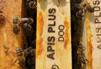 Reaktiviran rad grupacije privrednika u pčelarstvu
