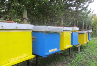 Uprava za zaštitu bilja i SPOS: Sprečimo trovanje pčela!