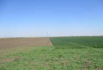 U Vršcu ponuđeno u zakup 3209 hektara državnog poljoprivrednog zemljišta u drugom krugu