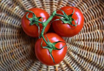 Zašto u plodu paradajza nastaju bele žile?