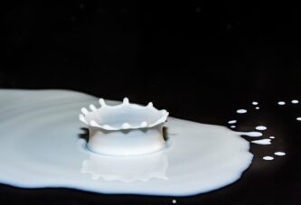 Novi Sad: Nikad teža situacija za domaće proizvođače mleka
