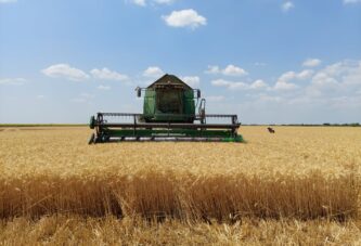 Savović: Očekujemo rod pšenice od tri miliona tona