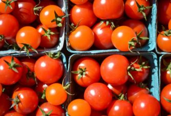 Protest proizvođača paradajza zbog niske cene danas u Leskovcu