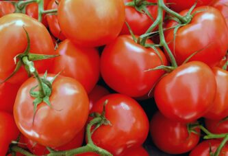 Ministar Nedimović obećao proizvođačima paradajza da će problem biti rešen 