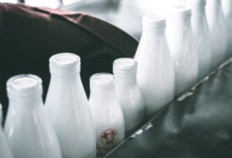 Pet puta manji dozvoljen nivo aflatoksina u mleku