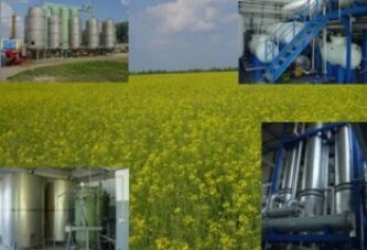Koliko u Srbiji može da se proizvede biodizela?