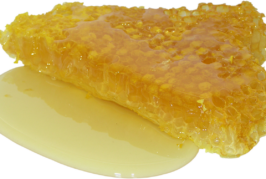 Pomoć pčelarima pri kupovini šećera za prihranu pčela