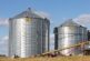 ZSV: Ukinuti  kvote na izvoz pšenice, regresirati gorivo i povećati subvencije