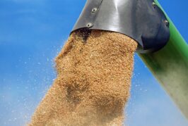 Rusija možda neće produžiti sporazum o izvozu žita iz Ukrajine