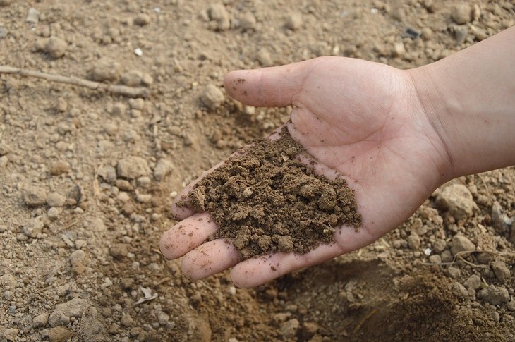 Zapadna Srbija oaza sušne Srbije