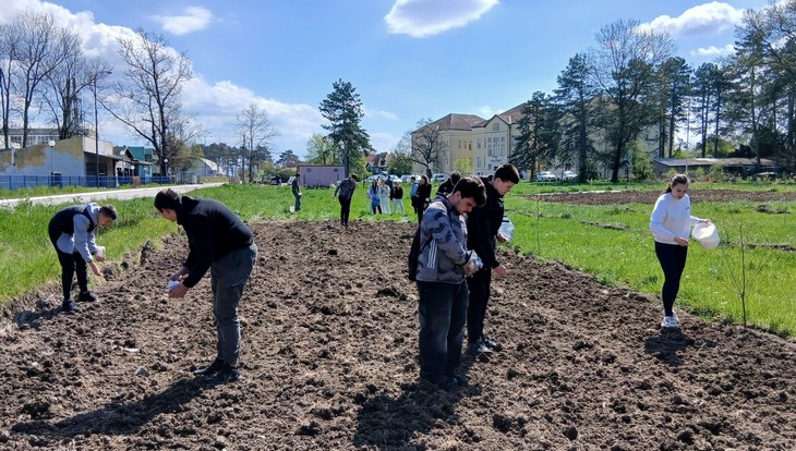 Pet škola, 620 učenika i kilometar polinatorskih traka:  Završen projekat „Zajedno pčelama na dar“