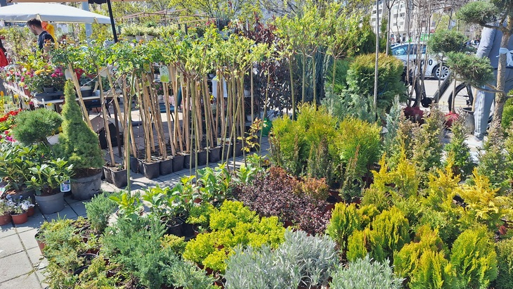 Beogradski sajam: Od 21. do 24. aprila sajmovi hortikulture i građevinarstva