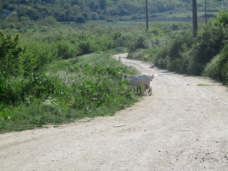 Podsticaji za unapređenje i razvoj ruralne infrastrukture